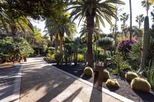 a garden with palm trees and cacti at EDEN RENTALS Cozy City Central Apartment in Santa Cruz de Tenerife