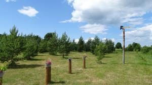 Zahrada ubytování Kastani Camping