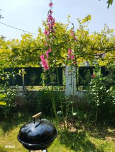 A garden outside Holiday Home in Chalkidiki, Lakkoma