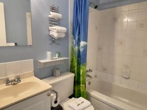 納奈莫的住宿－啟航灣汽車旅館，一间带水槽、卫生间和淋浴的浴室