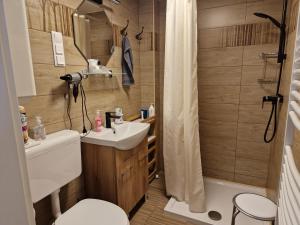 A bathroom at Silver Zsóry Apartman