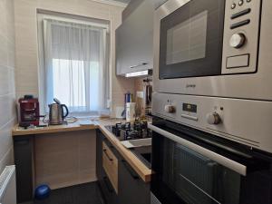A kitchen or kitchenette at Silver Zsóry Apartman