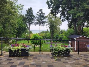 Zahrada ubytování Balinn rooms