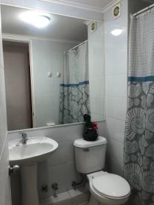 a small bathroom with a toilet and a sink at Arriendo dpto o pieza por noche in San Pedro de la Paz