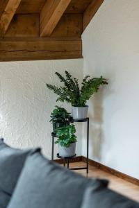 Posezení v ubytování Jungfrau-View Apartment, terrace & free parking
