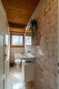 La salle de bains est pourvue d'un lavabo et de toilettes. dans l'établissement Jungfrau-View Apartment, terrace & free parking, à Wilderswil