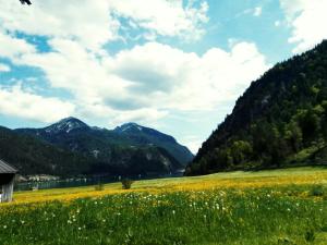 Paesaggio naturale nelle vicinanze dell'appartamento
