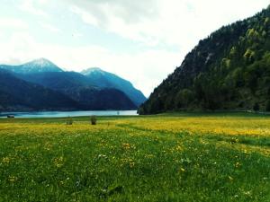 Paesaggio naturale nelle vicinanze dell'appartamento
