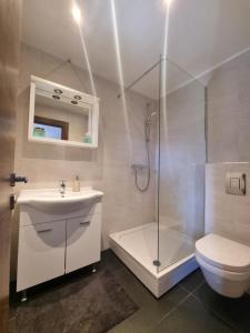 La salle de bains est pourvue d'une douche, d'un lavabo et de toilettes. dans l'établissement Apartments Miranda, à Kaprije