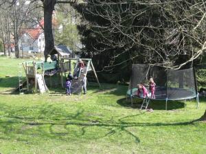 un grupo de niños jugando en un trampolín en un parque en Horská chata Hubert en Bedřichov