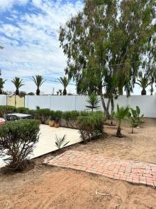 a garden with a tree and a brick walkway at Villa 471 m2 sur la plage in Mohammedia