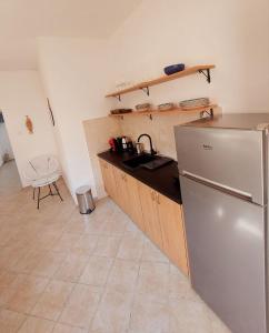 a kitchen with a refrigerator and a counter top at Apartmani Radovic in Bijela