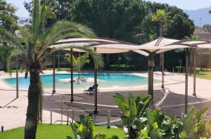 a pool with umbrellas and a palm tree at Hotel Amaltea by Executive Sport in Lorca