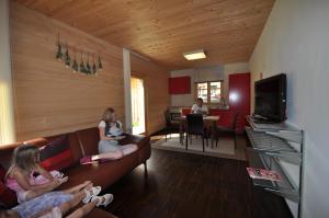 Televízia a/alebo spoločenská miestnosť v ubytovaní Haus Rose
