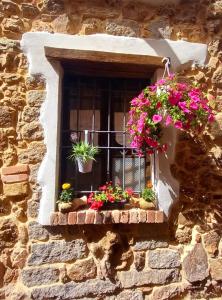 una finestra con piante in vaso su un muro di pietra di Un Tuffo nel passato "B&B Santu Giuvanni" a Fonni