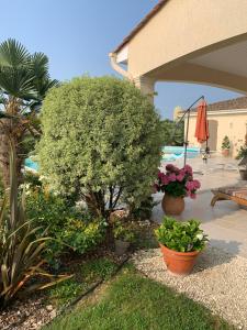 einen Garten mit Pflanzen, einem Baum und einem Regenschirm in der Unterkunft Chambre indépendante avec piscine in Jarnac