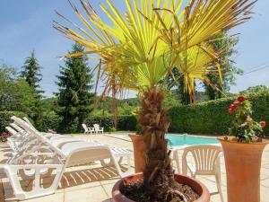 a patio with chairs and palm trees and a pool at Appealing apartment in Vezac with swimming pool in Beynac-et-Cazenac