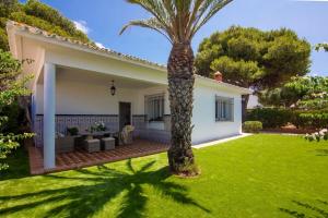a palm tree in the yard of a house at CASA DE MECA, a 100m de la playa in Los Caños de Meca