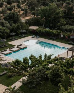 an overhead view of a swimming pool with chairs and trees at The Maxine Hotel Adults Only in Agia Galini