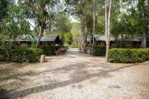 a dirt road between two houses with trees at Glamping at Elba in Lacona