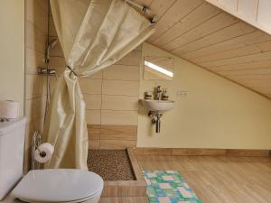 a bathroom with a toilet and a sink at Šv Hubertas in Karklė