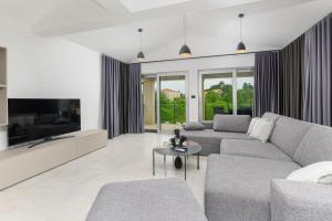 un salon avec un canapé et une télévision dans l'établissement Villa VoriC by IstriaLux, à Svetvinčenat