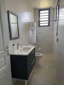een badkamer met een wastafel en een toilet bij Chez Romuas in Le Tampon