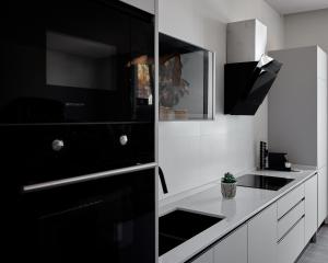 Kuchyň nebo kuchyňský kout v ubytování Ancón Suites