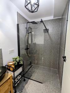 La salle de bains est pourvue d'une douche avec une porte en verre. dans l'établissement Sibiu City Lights, à Şura Mare