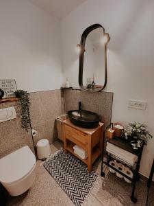 La salle de bains est pourvue d'un lavabo, de toilettes et d'un miroir. dans l'établissement Sibiu City Lights, à Şura Mare