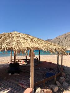 a straw umbrella on a beach with the ocean at Peace land camp in Nuweiba