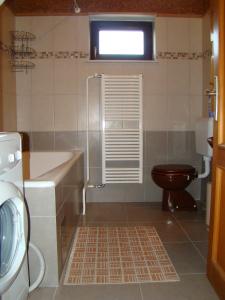 uma casa de banho com um WC, um chuveiro e um lavatório. em Apartments Maroflin em Crni Lug