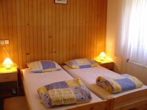 two twin beds in a room with two lamps at Apartments Maroflin in Crni Lug