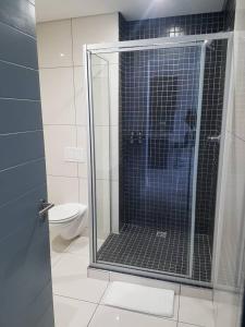 a bathroom with a shower and a toilet at Movic's Modern Airbnb in Windhoek