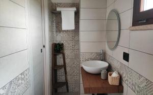 a bathroom with a sink and a mirror at Desideria Rooms Bed and Breakfast in Torino di Sangro