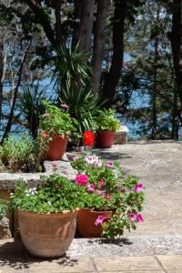 a group of potted plants sitting on a patio at ADIS Holiday Inn Hotel in Golden Sands