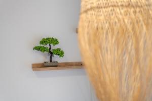 Φωτογραφία από το άλμπουμ του Stamatia Suites στην Ασπροβάλτα +59 φωτογραφίες