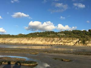 - une vue sur une plage avec une falaise dans l'établissement Les Nord’mandines, à Trouville-sur-Mer