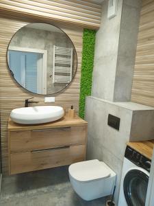 ein Badezimmer mit einem Waschbecken, einem Spiegel und einer Waschmaschine in der Unterkunft Apartament Sądecki in Nowy Sącz