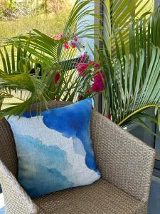 a wicker chair with a blue pillow and some plants at Serenity cottage in Rodrigues Island