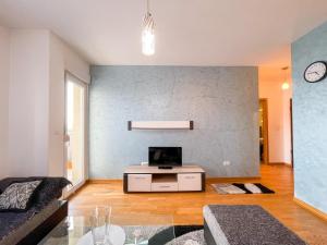 ein Wohnzimmer mit einem Sofa und einem TV an der Wand in der Unterkunft 1-bedroom apartment in urban area in Podgorica