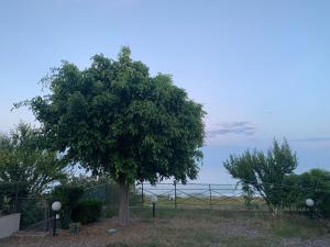 Ein Baum vor einem Zaun mit dem Ozean im Hintergrund in der Unterkunft Appartamento fronte mare in Brancaleone Marina