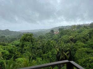 a view of a lush green forest filled with trees at Hotel Casa De Patio in Porvorim