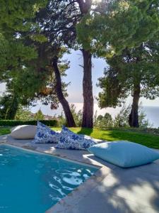 Phong cảnh thiên nhiên gần biệt thự