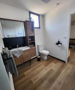 a bathroom with a sink and a toilet at appartement 40 m 2 in Pérols