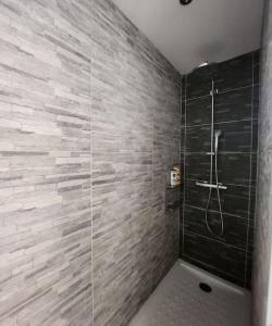 a bathroom with a shower with a tile wall at appartement 40 m 2 in Pérols