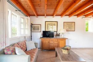 a living room with a couch and a tv at St. George Villa in Agios Georgios