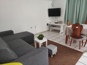 a living room with a couch and a table and a tv at Apartments and Rooms Batoš in Zavala