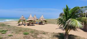 a group of straw umbrellas on a beach at Guesthouse Bambou Beach in Grand-Popo