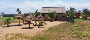 a house with straw umbrellas on a beach at Guesthouse Bambou Beach in Grand-Popo